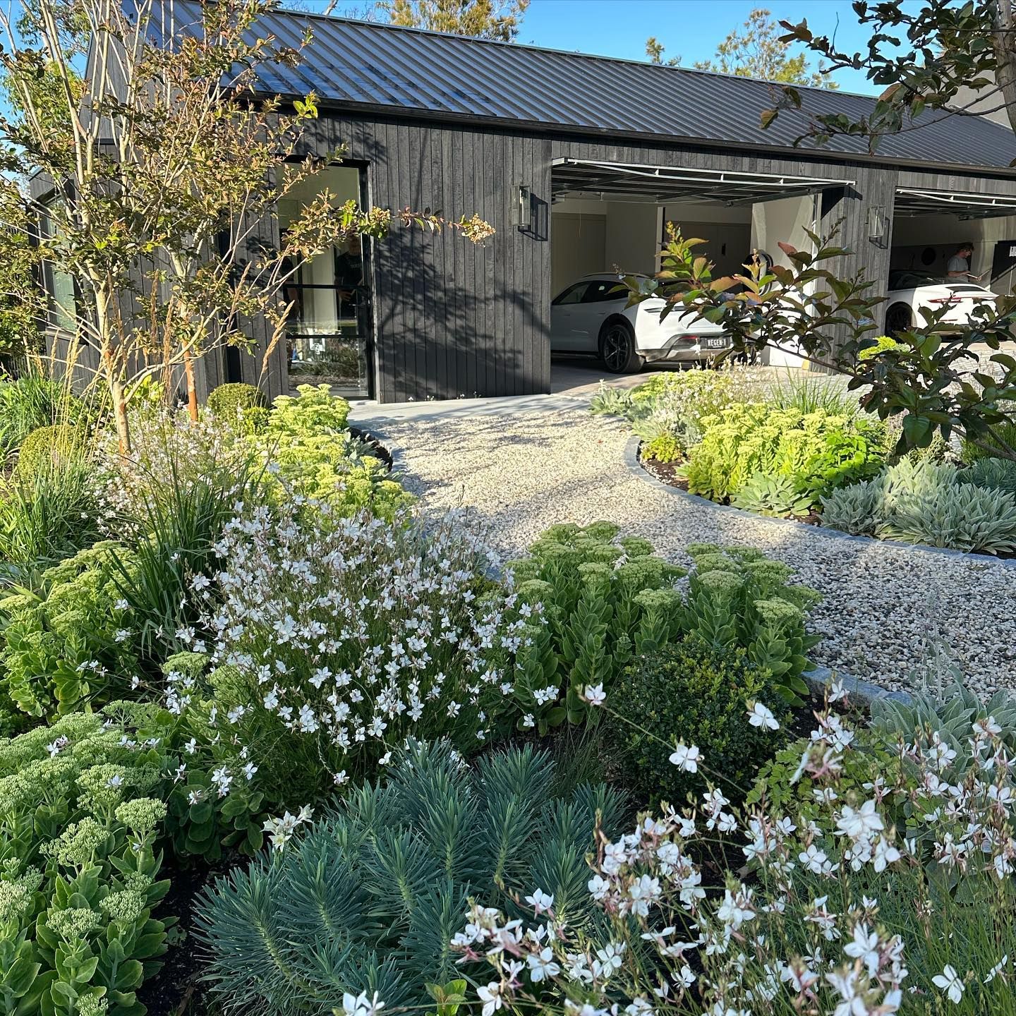 What you can REALLY expect when you buy a 100 year old farm house